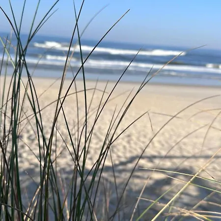 Gândara * Praia de Mira